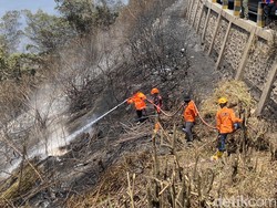 Water Bombing Tak Bisa Mengudara Padamkan Karhutla Bromo, Ini Alasannya