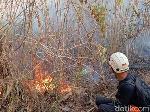 Kebakaran Hutan Bukit Pertapan Bayat Klaten Belum Padam