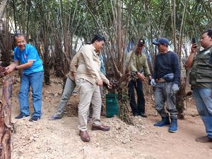 Kementan Gandeng UGM-BRIN Perkuat Hilirisasi Hortikultura untuk Ekspor