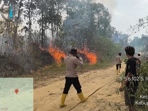 1 Hektare Lahan Gambut di Muba Terbakar!