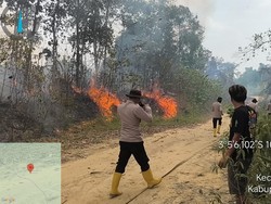 1 Hektare Lahan Gambut di Muba Terbakar!