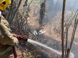 Mayat Pria Ditemukan di Lahan yang Terbakar di Sleman