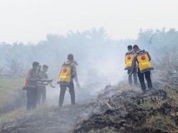 Lahan di Sungai Aur Muaro Jambi Terbakar, Luasan Capai 20 Hektare