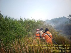 Karhutla di 2 Lokasi Rambutan Banyuasin Sudah Padam