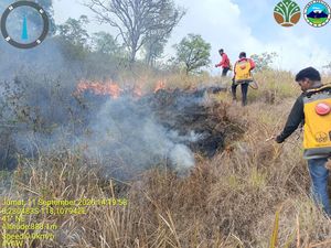 Karhutla di Taman Nasional Tambora Makin Meluas