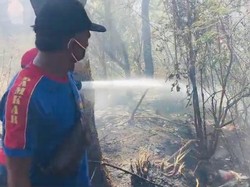 3 Kebakaran Lahan Bersamaan di Karangasem, Damkar Kewalahan