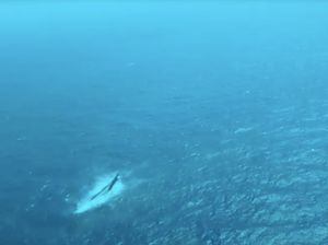 Video: Kapal Virgo Miring Sampai Tenggelam karena Dihantam Ombak