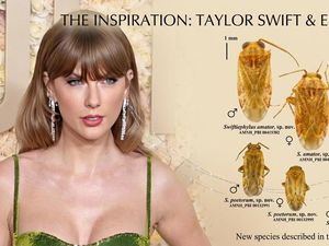 Taylor Swift Jadi Nama Serangga Pemakan Tumbuhan, Penemunya Ternyata Swifties!