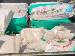 Usai Panen, Kades di Lamongan Bagikan Beras ke 430 Rumah Warga