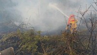 El Nino Masih sampai November, Potensi Karhutla Mesti Diwaspadai