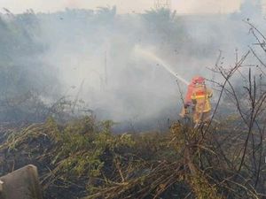 Video: Jumlah Hotspot Nasional Turun Jadi 567 Titik, Kalteng Tertinggi