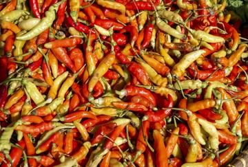 Studi Ungkap Makanan Pedas Bisa Bantu Perbaiki Mood, Pernah Merasakannya?