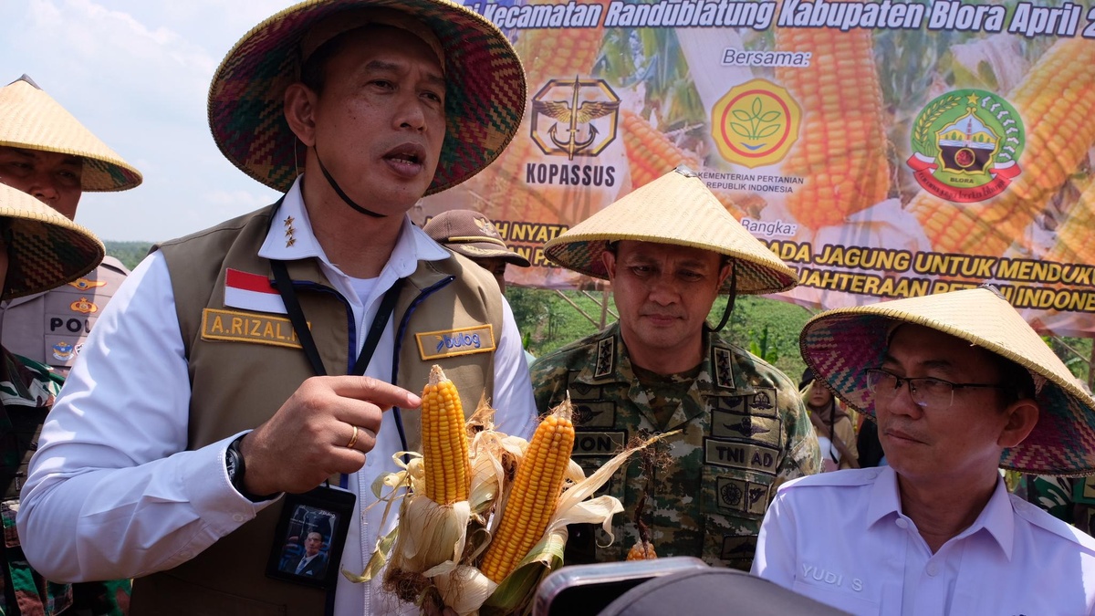 Bulog Siagakan 150 Ribu Ton Jagung SPHP hingga 2026