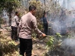 Hutan Perhutani di Lereng Gunung Lawu di Magetan Terbakar