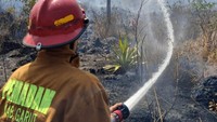 Karhutla Menghanguskan Kaki Gunung Guntur di Garut