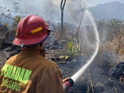 Karhutla Menghanguskan Kaki Gunung Guntur di Garut