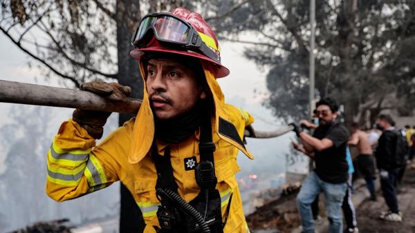 Kebakaran Hutan Dekati Permukiman Quito, Warga dan Petugas Berjibaku