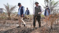 Menhut Cek Karhutla IKN, Water Bombing-OMC Dikebut