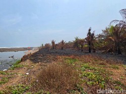 Heboh Kabar Transaksi 4 Hektare Lahan Timbul di Pesisir Loji Sukabumi
