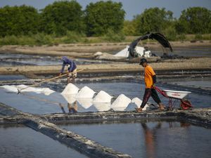 Panen Garam Indramayu di Tengah Target Swasembada Garam