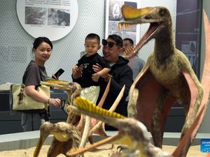 Pertama di Dunia, China Buka Museum Reptil Terbang dari Zaman Prasejarah