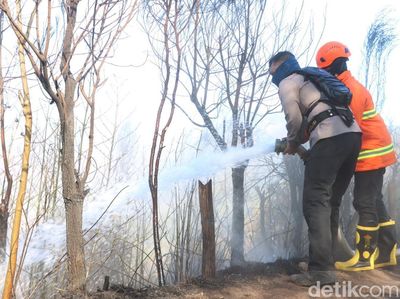 Penanganan Karhutla di TNBTS
