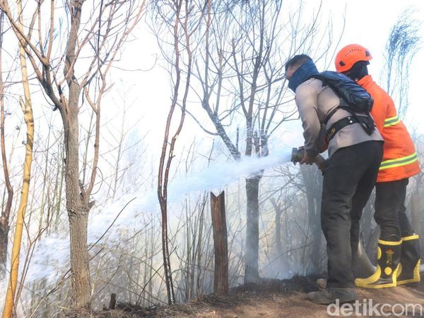 Penanganan Karhutla di TNBTS