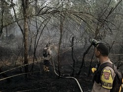 Polda Sumsel Kerahkan Personel Gabungan Padamkan Karhutla di Ogan Ilir