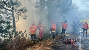 4 Titik Karhutla Masih Terjadi di Jatim, Bromo hingga Arjuno
