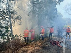 Bromo Padam, Karhutla di Jatim Tersisa 2 Titik