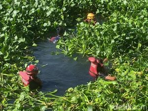 Lansia Tewas Tenggelam di Kanal Makassar Dipenuhi Eceng Gondok