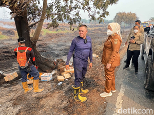 Karhutla Kobar Meluas ke Masoraian, Penyangga TNTP Diwaspadai