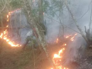 Hutan Gunung Andong Magelang Kembali Terbakar