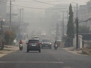 Kabut Asap Kiriman Sumsel Kepung Jambi, Jarak Pandang Cuma 600 Meter