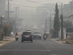 Kabut Asap Kiriman Sumsel Kepung Jambi, Jarak Pandang Cuma 600 Meter
