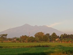 Update Karhutla Arjuno: Alas Lali Jiwo Terkendali, Masih Ada Titik Api