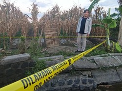 Kronologi Maling Jeruk di Banyuwangi Tewas Dimassa