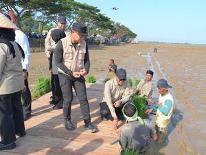 Menata Kembali Sawah Aceh Pascabencana, Pemerintah Turun Tangan
