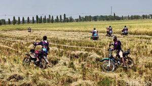 Serunya Balap Ojek Gabah di Lamongan