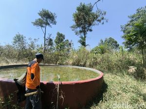 Mereka Membangun Benteng Pertahanan Melawan Api di Gunung Ciremai