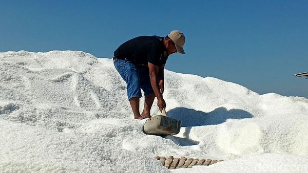 Kemarau Jadi Berkah, Produksi Garam Petani Sampang Meningkat