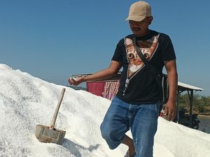 Kemarau Panjang, Hasil Panen Petani Garam Sampang Naik 2X Lipat