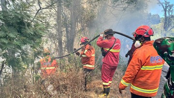 Karhutla di Jatim Hanguskan 9.540 Hektare Lahan