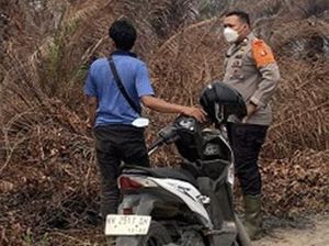 Bakar Lahan untuk Tanam Nanas, Pria di Sampit Diperiksa Polisi