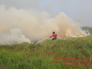 75 Kasus Karhutla di Jambi Diusut, 14 Orang Tersangka-Belum Ada Perusahaan