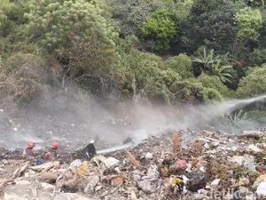 Upaya Petugas Damkar Padamkan Kebakaran Lahan di Punclut Bandung
