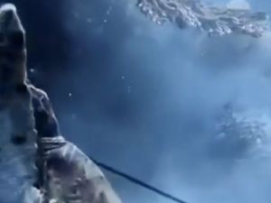 WNA China Ditangkap Usai Diduga Buru-Santap Penyu di Raja Ampat