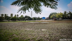 Danau Cinere Kering Lagi Imbas Kemarau, Tanah Retak-retak