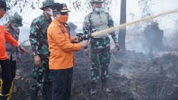 Kawasan Hutan Lindung Londerang di Jambi Kembali Terbakar