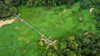 Gulma Penuhi Waduk Manggar, Perahu Wisata Sulit Melintas